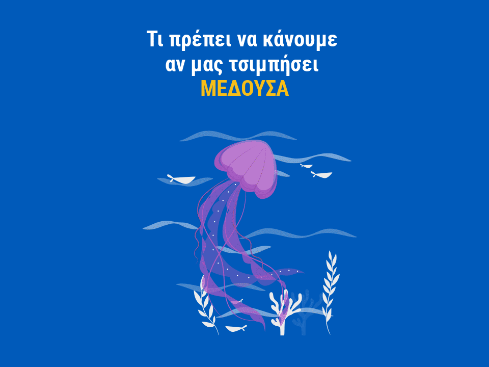 χρήσιμες συμβουλές και αντιμετώπιση τσιμπήματος από μωβ μέδουσες τσούχτρες pelagia noctiluca πρώτες βοήθειες και κιτ πρώτων βοηθειών για την παραλία συμπτώματα και αντιμετώπιση